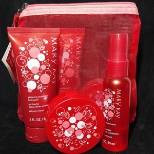 Pair of Mary Kay glistening winter berry gift bag